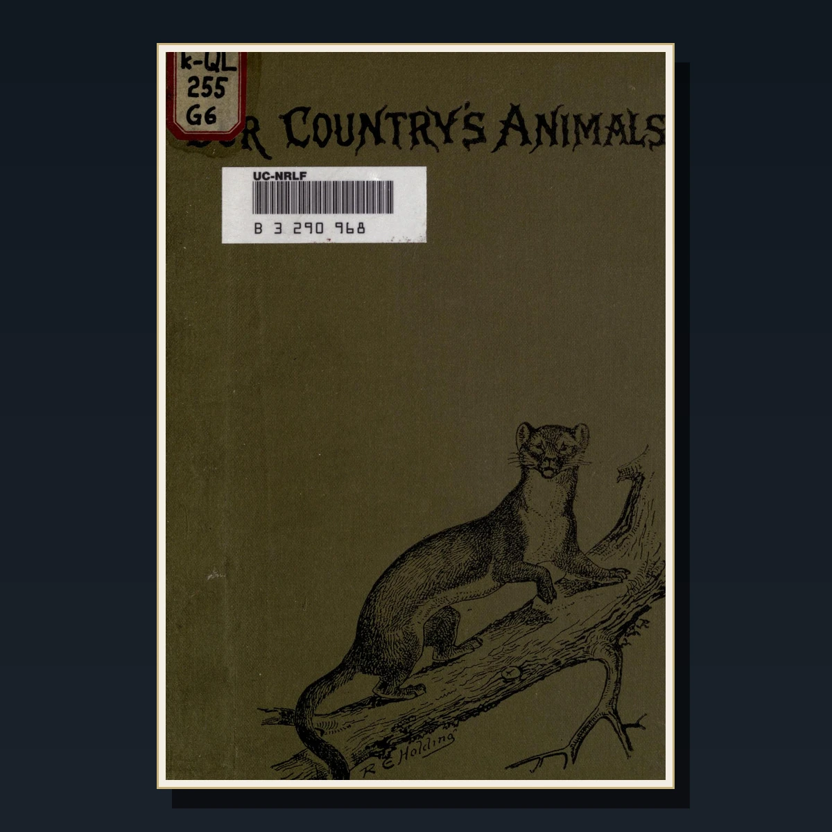 125 Rare Reptiles & Amphibians PDF Collection: Snakes, Lizards, Frogs, Boulenger & Herpetology image 6