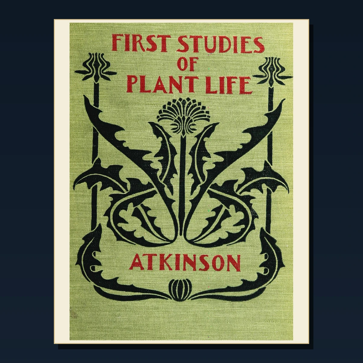 125 Rare Seed Saving and Plant Propagation PDF Collection: Seed Saving & Plant Propagation & Antique Sources image 4