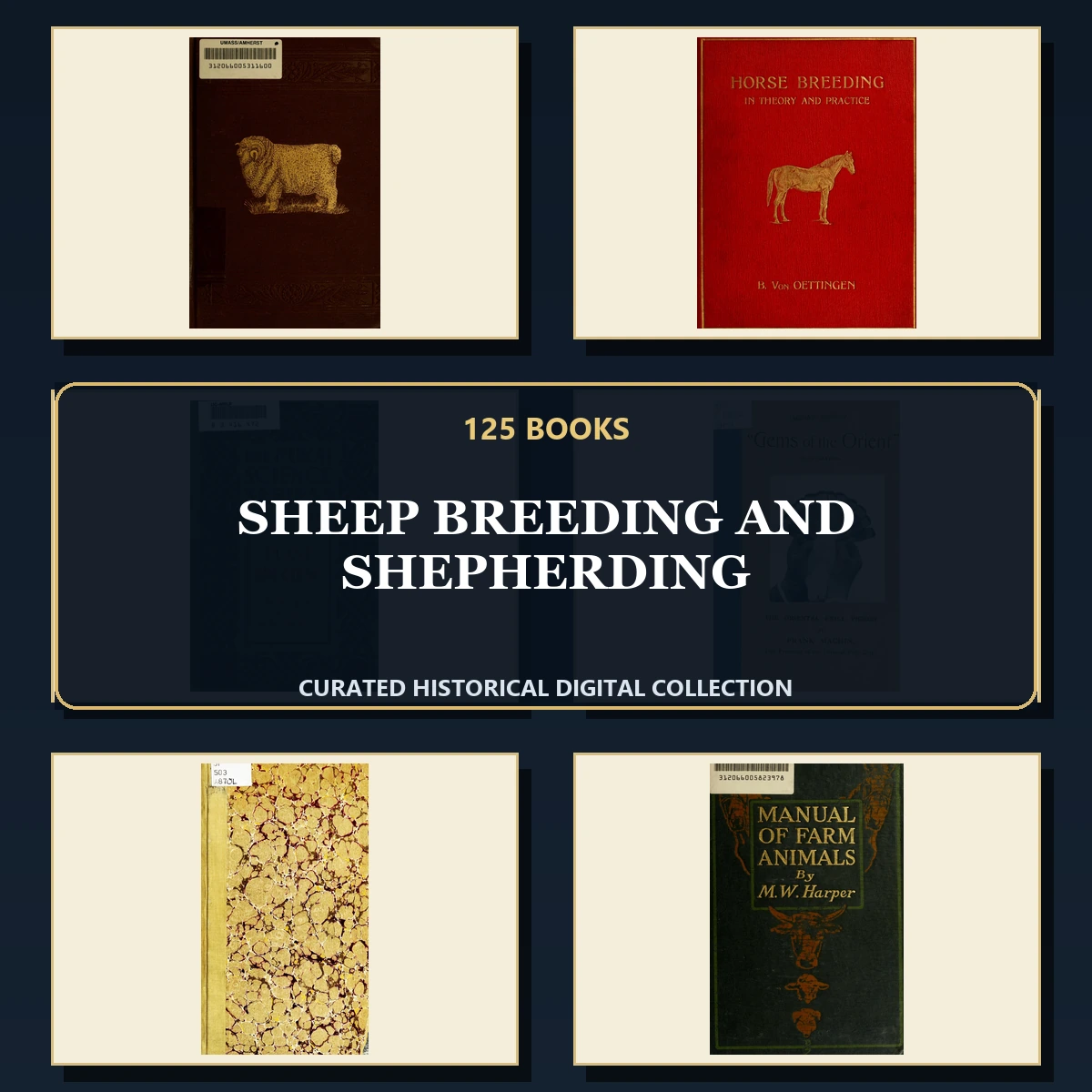 125 Rare Sheep Breeding and Shepherding PDF Collection: Sheep Breeding & Shepherding & Antique Sources