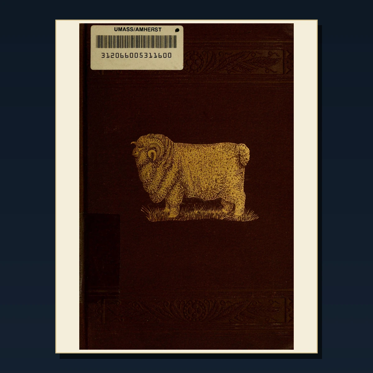 125 Rare Sheep Breeding and Shepherding PDF Collection: Sheep Breeding & Shepherding & Antique Sources image 2