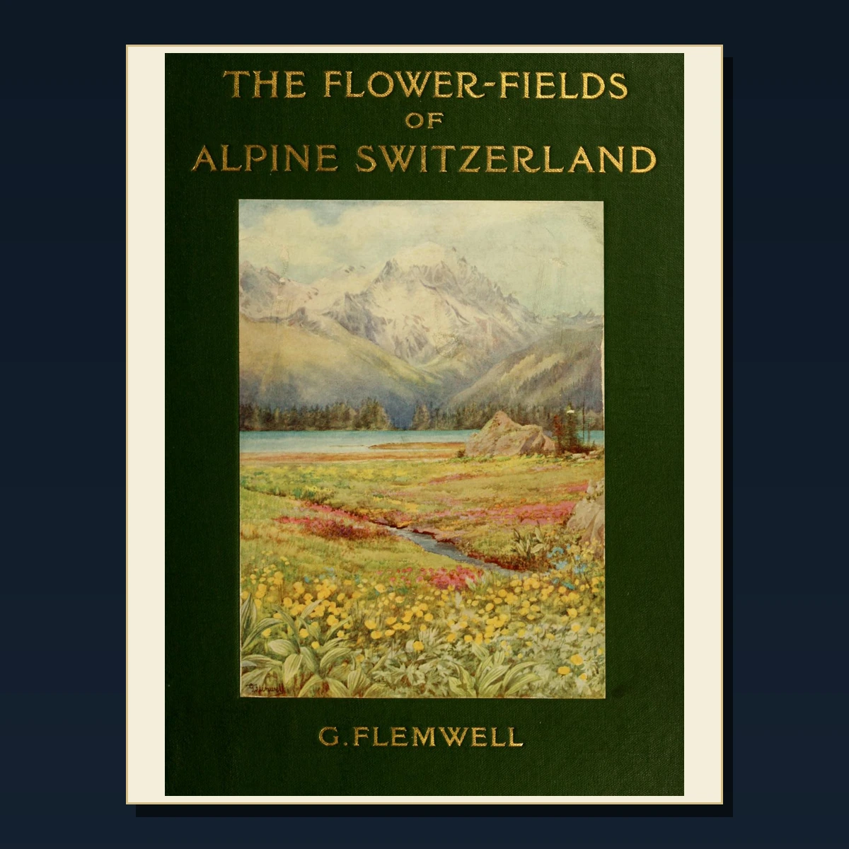 125 Rare Switzerland Cantons and Alpine History PDF Collection: Switzerland Cantons & Alpine History & Antique Sources image 2