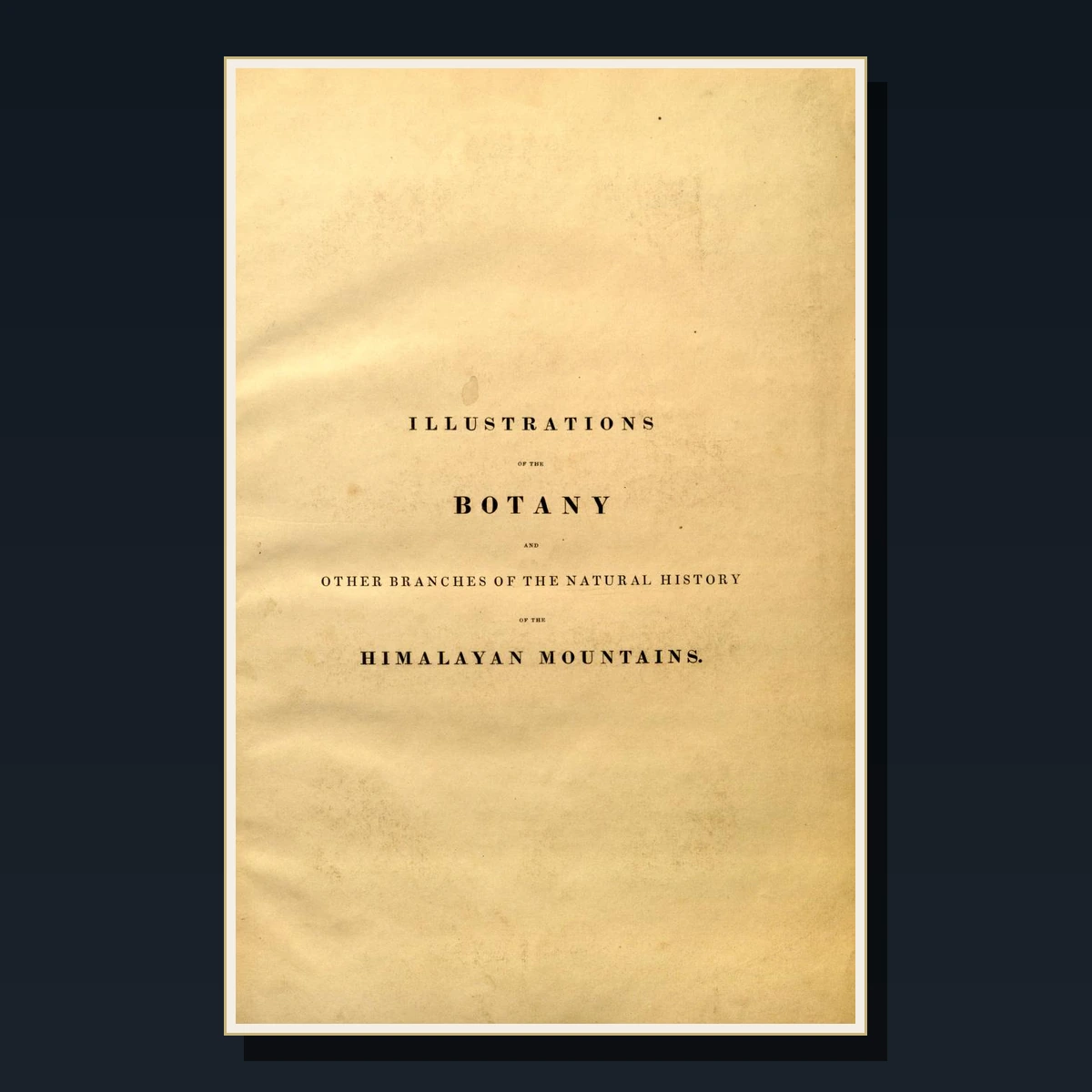 125 Rare Tropical Botany PDF Collection: Kew Gardens, Wallace, Hooker, Rainforest Plants & Exotic Flora image 5