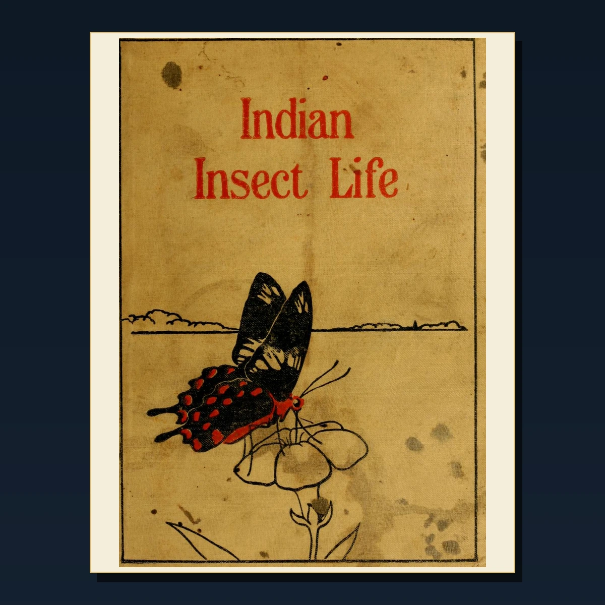 125 Rare Tropical Medicine and Hygiene PDF Collection: Tropical Medicine & Hygiene & Antique Sources image 4