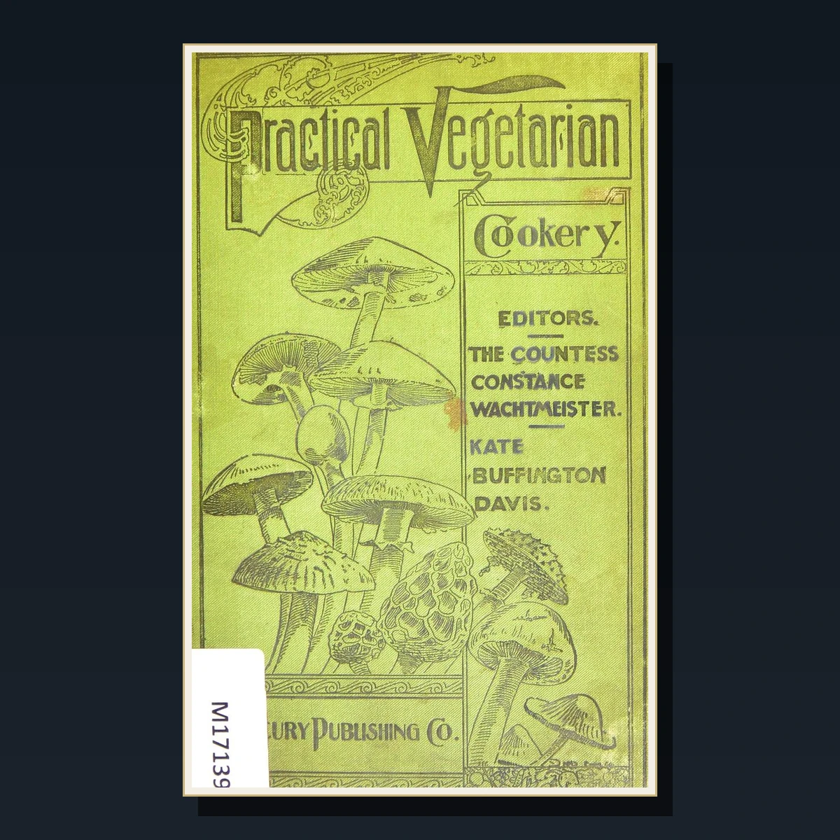125 Rare Vegetarian Cookery PDF Collection: Reform Cookery, Meatless Recipes, Health Foods & Victorian Diet image 5