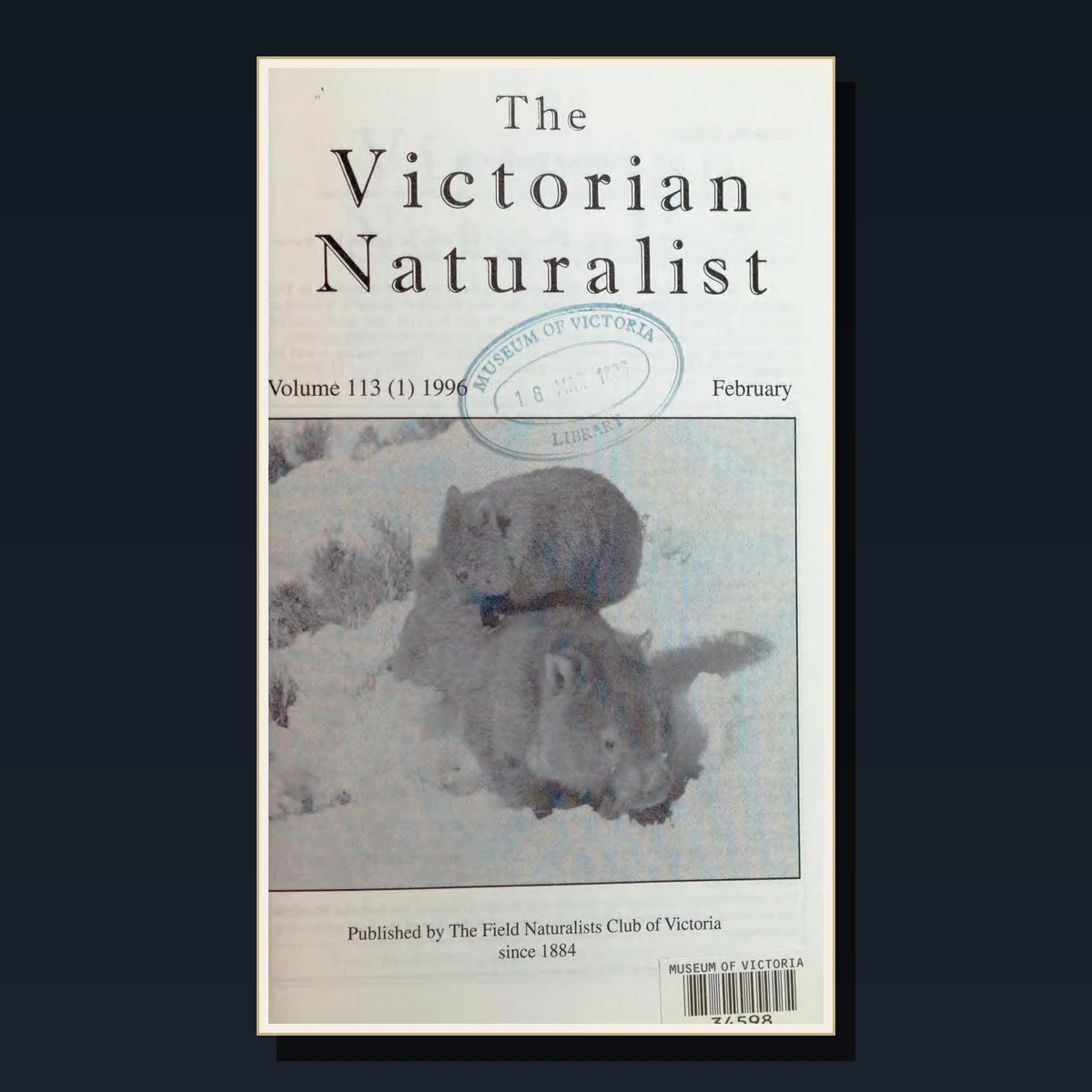 125 Rare Victorian Social History PDF Collection: Mayhew, Booth, Working Class, Poverty & Victorian Society