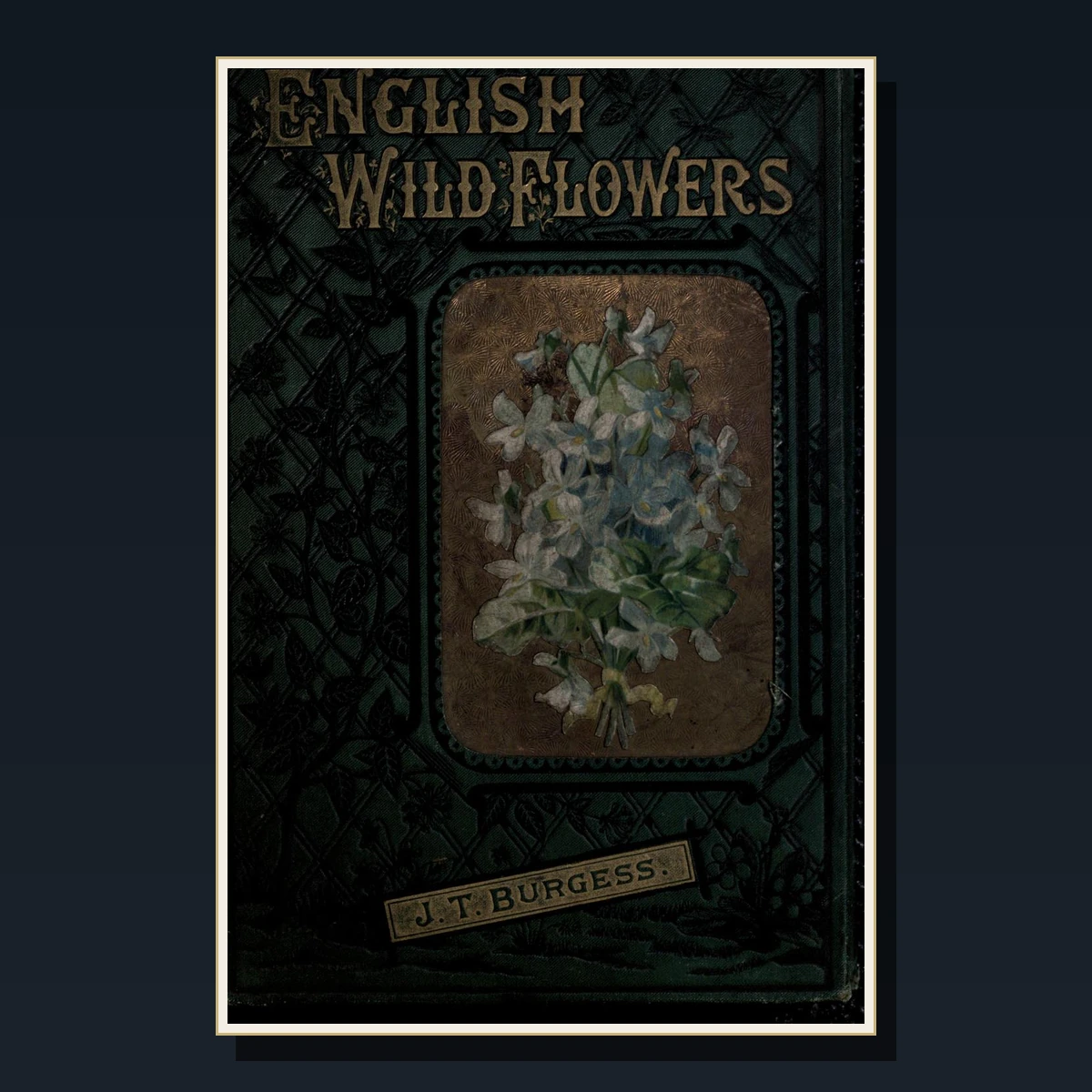 125 Rare Wildflowers PDF Collection: British Flora, Field Botany, Sowerby, Anne Pratt & Meadow Plants image 3
